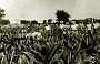 il lavoro